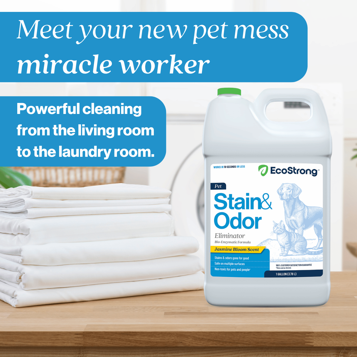 Pet Stain and Odor Eliminator Pet & Animal > Pet Stain & Odor EcoStrong