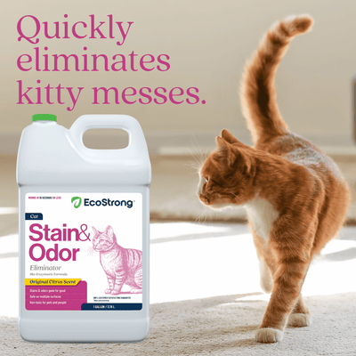 Cat Stain and Odor Eliminator Pet & Animal > Cat Stain & Odor EcoStrong