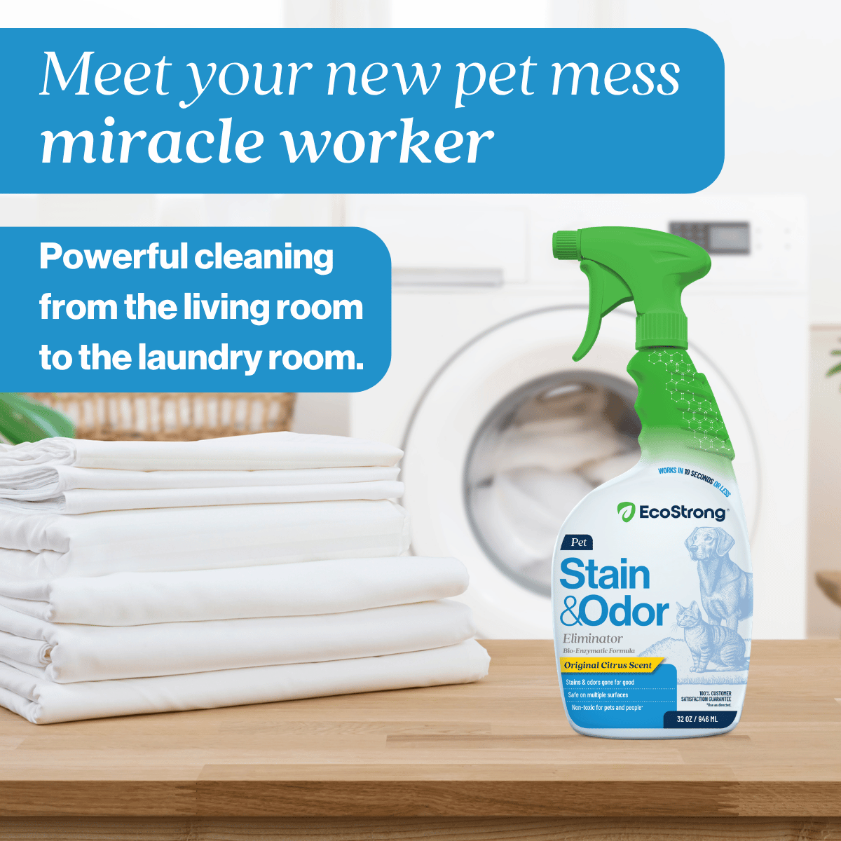Pet Stain and Odor Eliminator Pet & Animal > Pet Stain & Odor EcoStrong