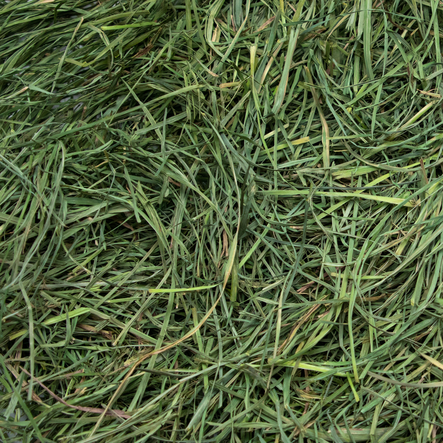 Rabbit Hole Hay Ultra Premium Soft Orchard Grass Hay Rabbit Hole Hay