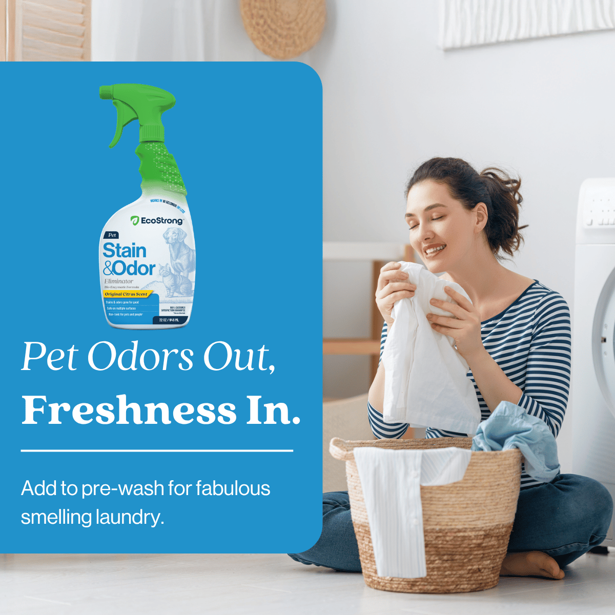 Pet Stain and Odor Eliminator Pet & Animal > Pet Stain & Odor EcoStrong