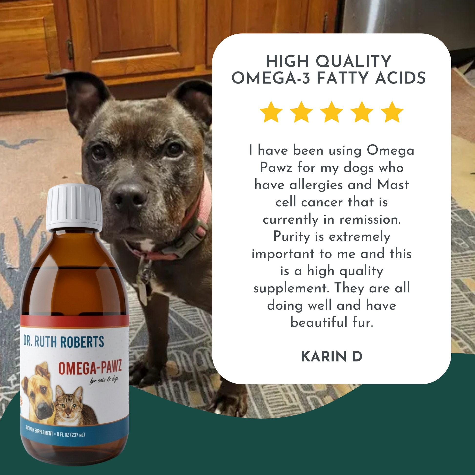 Omega Pawz - Liquid Omega 3 Oil for Dogs and Cats Animals & Pet Supplies Dr. Ruth Roberts