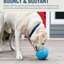 Planet Dog Orbee-Tuff Double Snoop Interactive Treat-Dispensing Dog Toy Dog Toys Balls Outward Hound