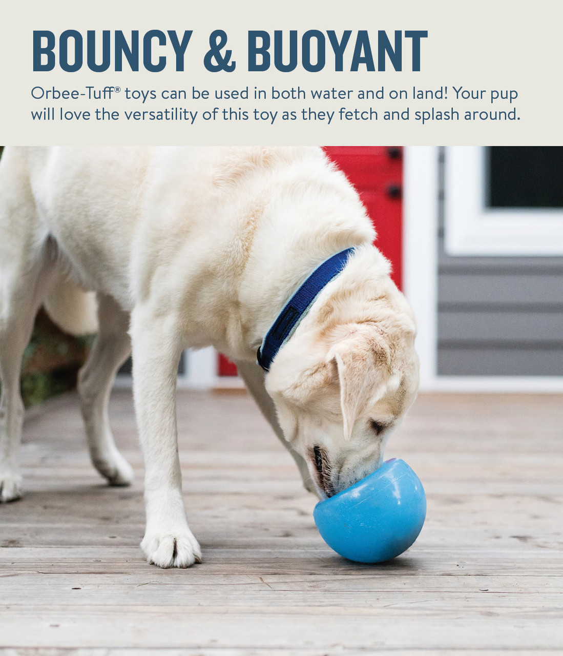 Planet Dog Orbee-Tuff Double Snoop Interactive Treat-Dispensing Dog Toy Dog Toys Balls Outward Hound