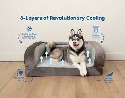 PupChill™ Cooling Bolster Dog Bed Paw