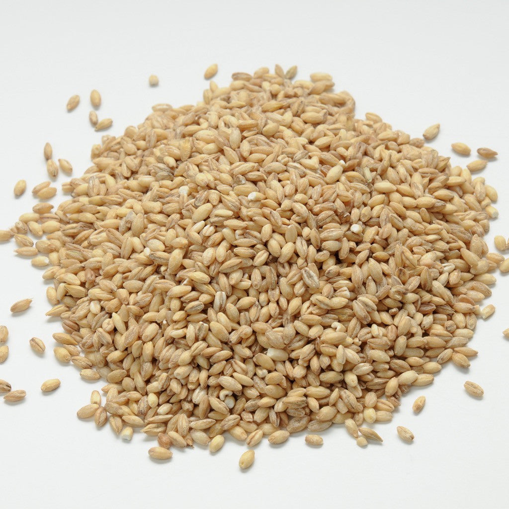 Whole Grain Original Natural Dog Food Happy Dog Food