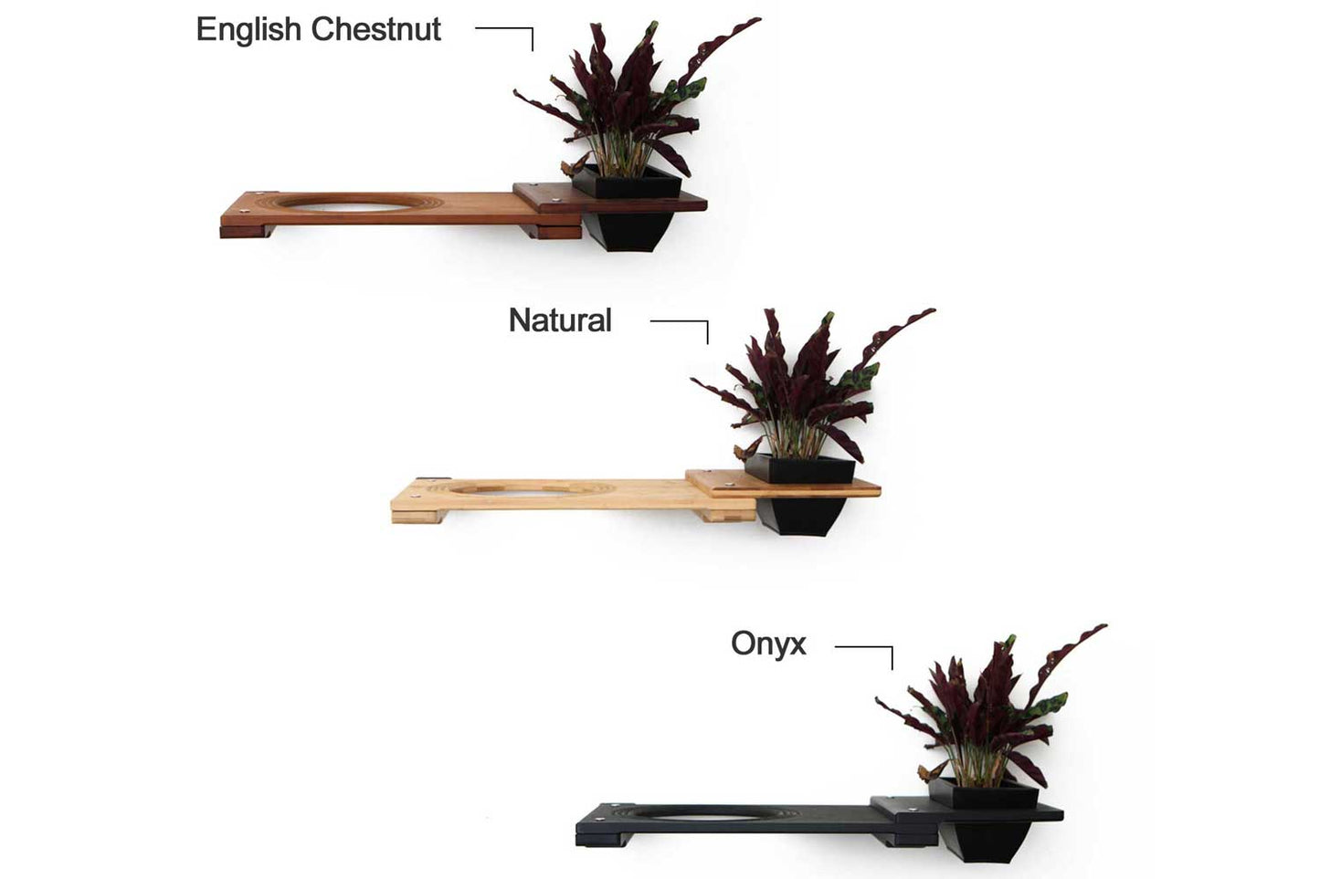 Cat Plant Stand for Wall Cat shelves/bed Catastrophic Creations