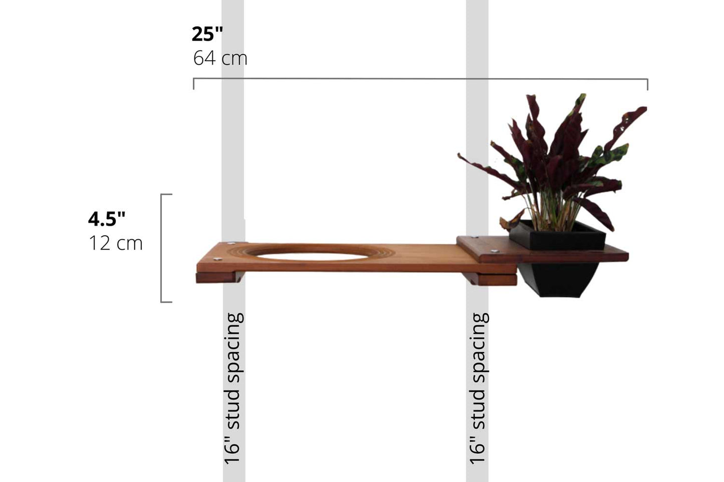 Cat Plant Stand for Wall Cat shelves/bed Catastrophic Creations