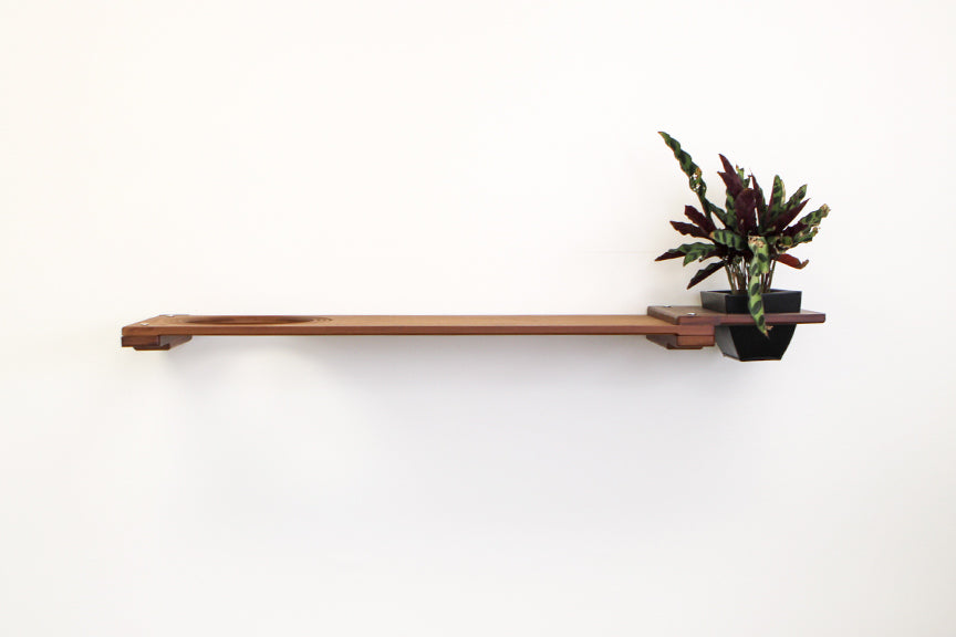 Cat Plant Stand for Wall Cat shelves/bed Catastrophic Creations
