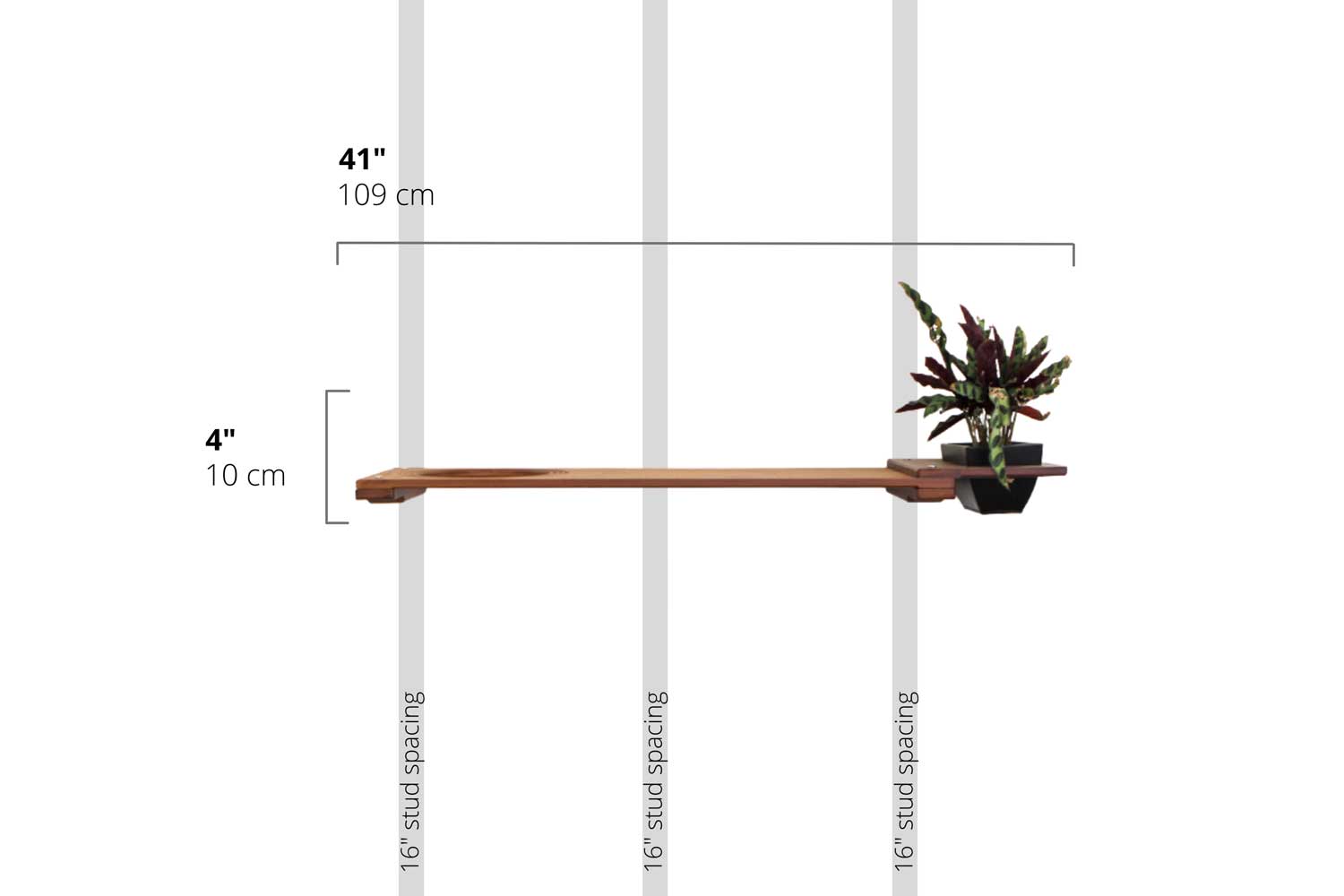 Cat Plant Stand for Wall Cat shelves/bed Catastrophic Creations