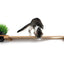 Cat Plant Stand for Wall Cat shelves/bed Catastrophic Creations