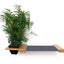 Cat Hammock Wall with Planter Natural Bamboo Charcoal Gray Canvas 16" Cat Hammock Catastrophic Creations