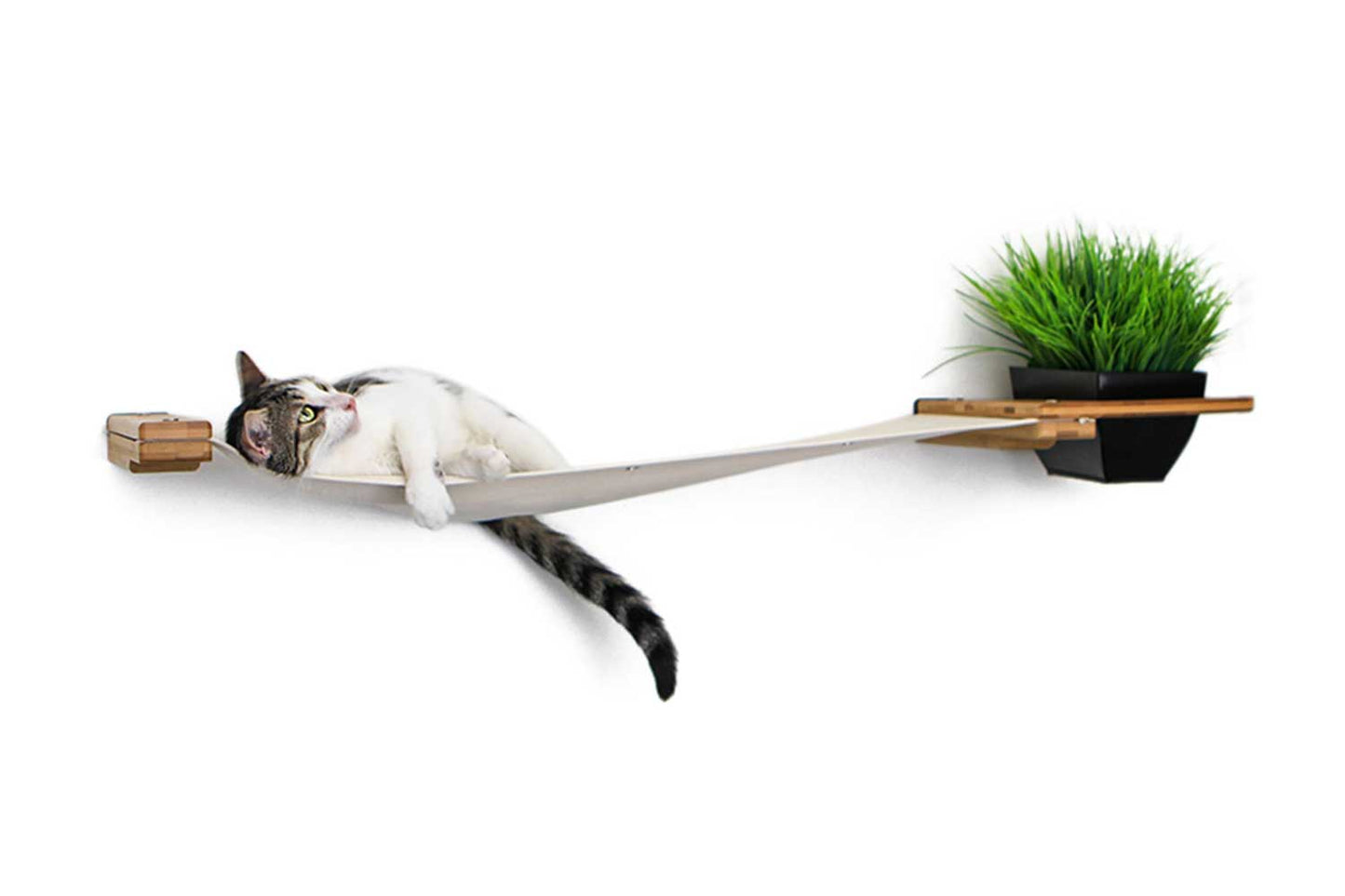 Cat Hammock Wall with Planter Cat Hammock Catastrophic Creations
