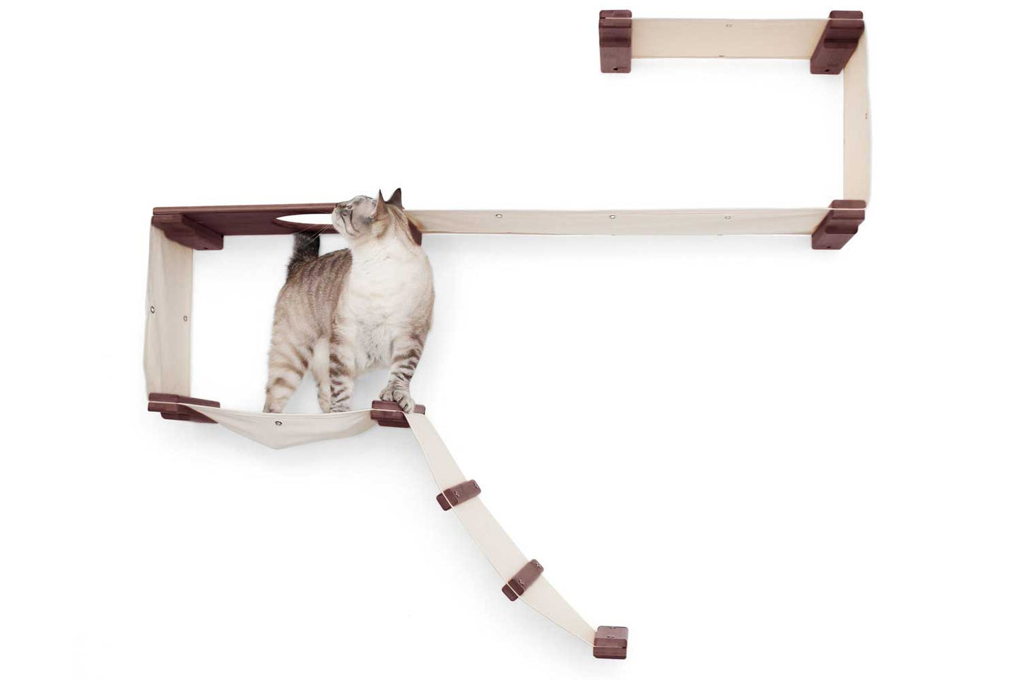 The Play - A Cat Play Wall System Cat Condo Catastrophic Creations