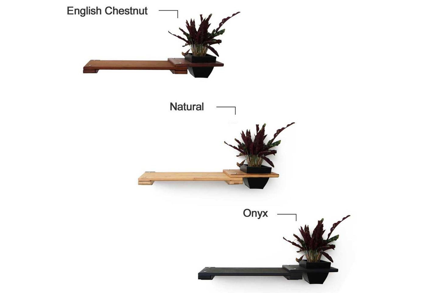 Cat Plant Stand for Wall Cat shelves/bed Catastrophic Creations