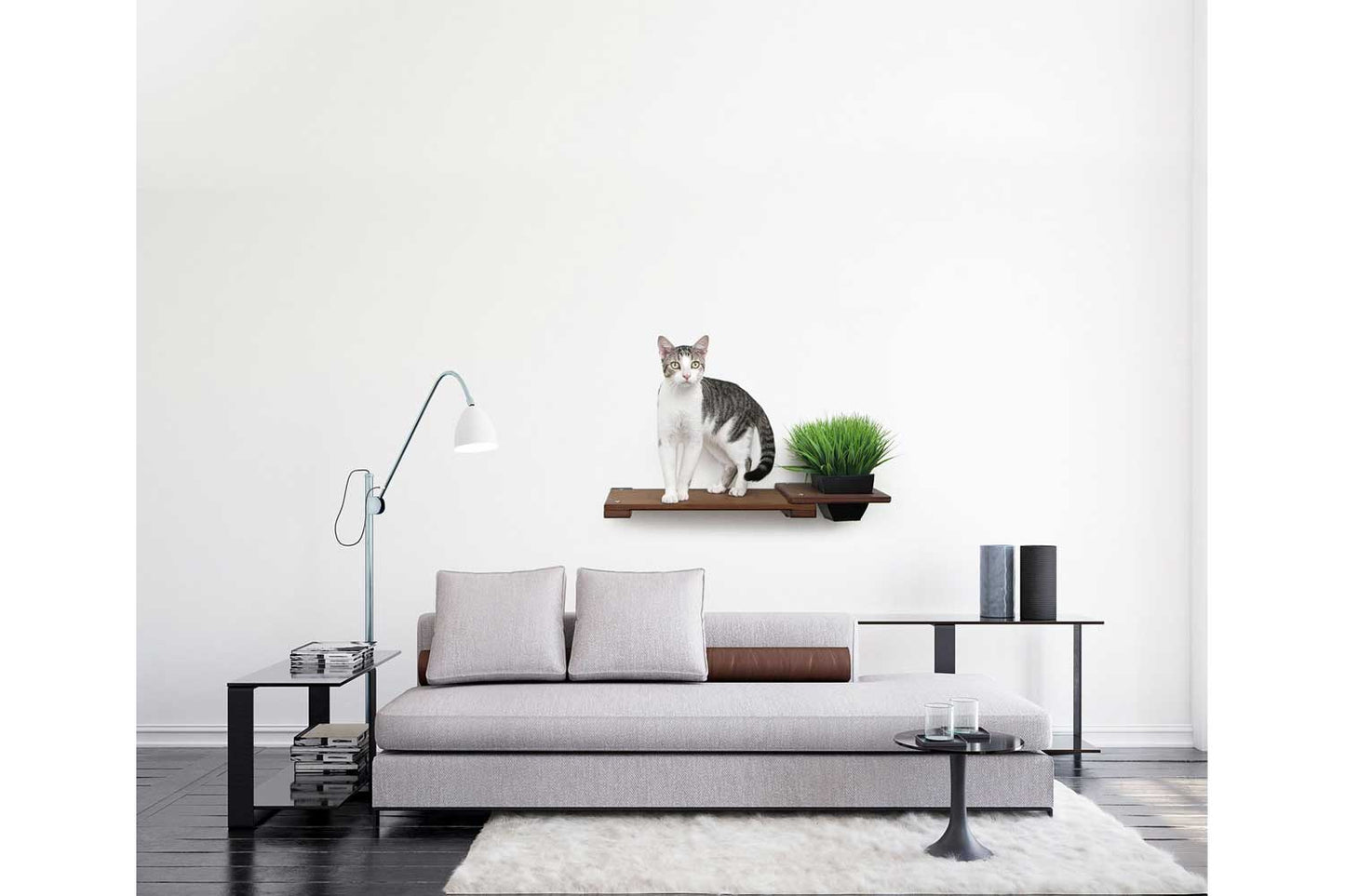 Cat Plant Stand for Wall Cat shelves/bed Catastrophic Creations