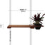 Cat Plant Stand for Wall Cat shelves/bed Catastrophic Creations