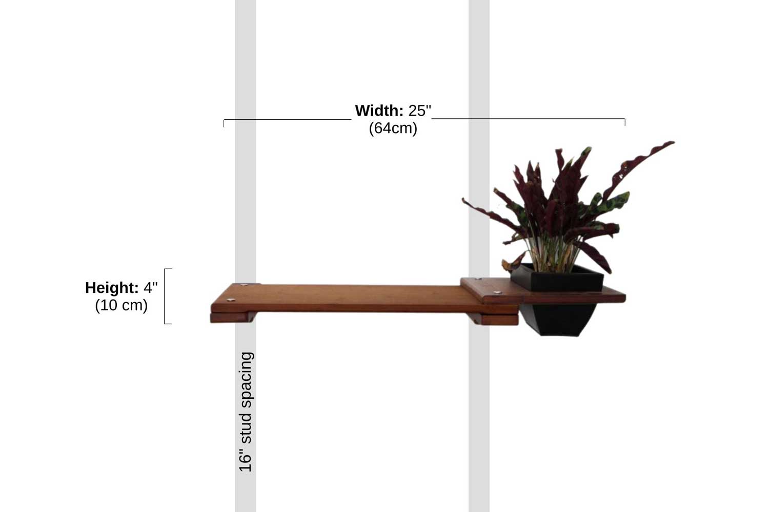 Cat Plant Stand for Wall Cat shelves/bed Catastrophic Creations