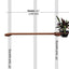 Cat Plant Stand for Wall Cat shelves/bed Catastrophic Creations