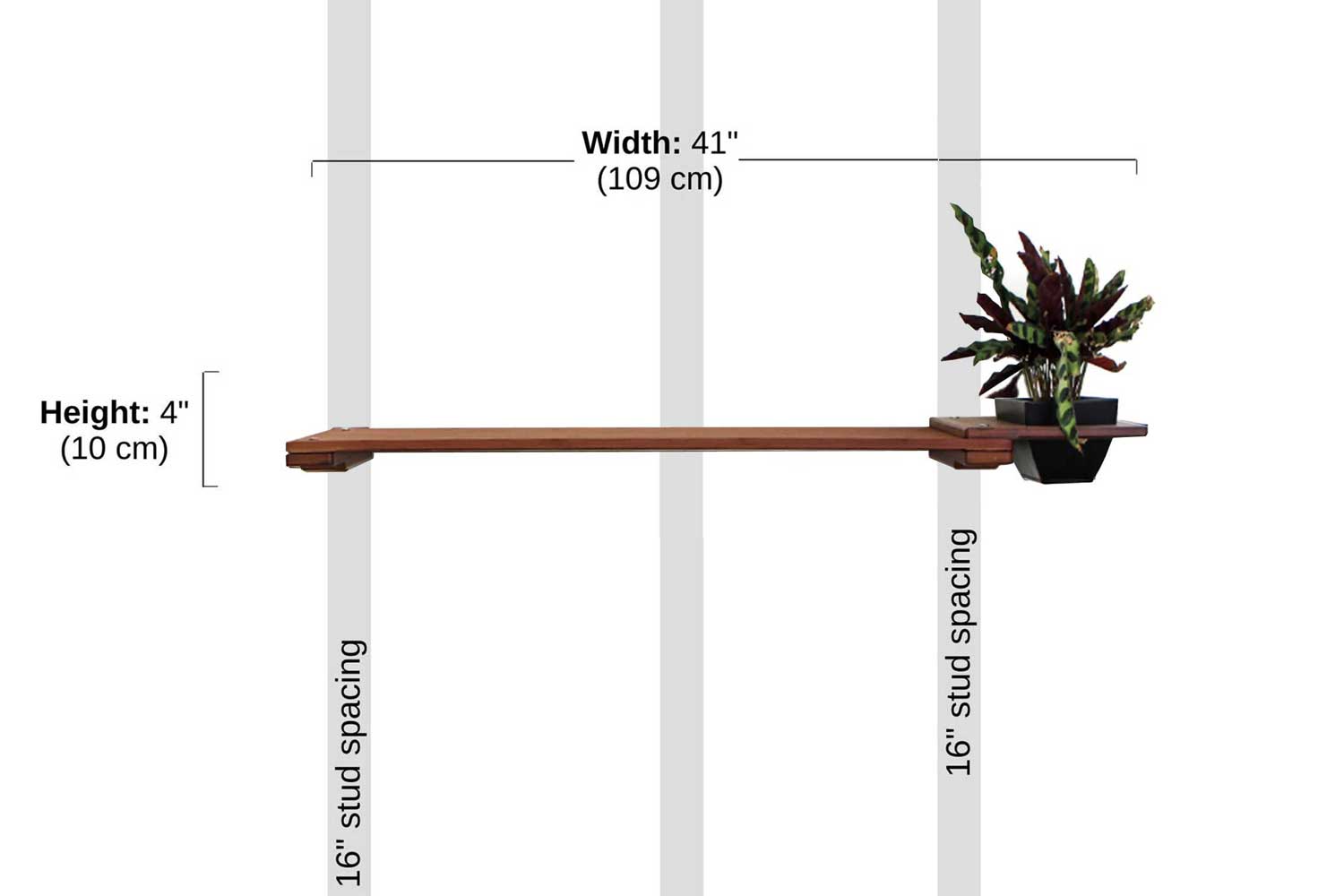Cat Plant Stand for Wall Cat shelves/bed Catastrophic Creations