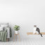 Cat Plant Stand for Wall Cat shelves/bed Catastrophic Creations
