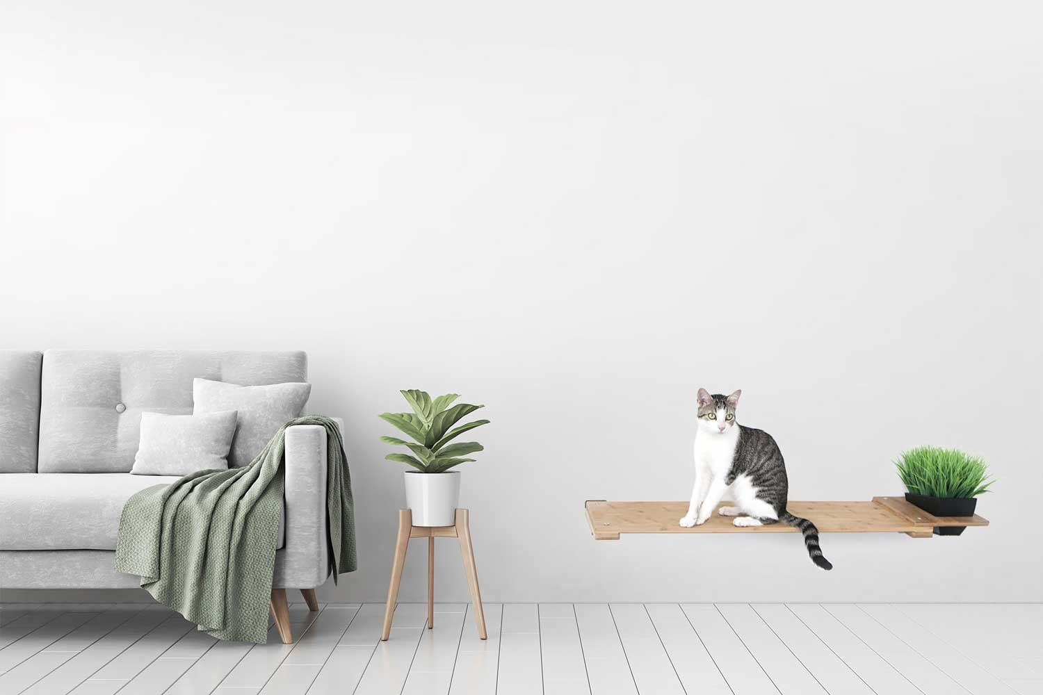Cat Plant Stand for Wall Cat shelves/bed Catastrophic Creations