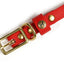 Sporting Puppy Collar - Red Dog Supplies Pointer Traditions