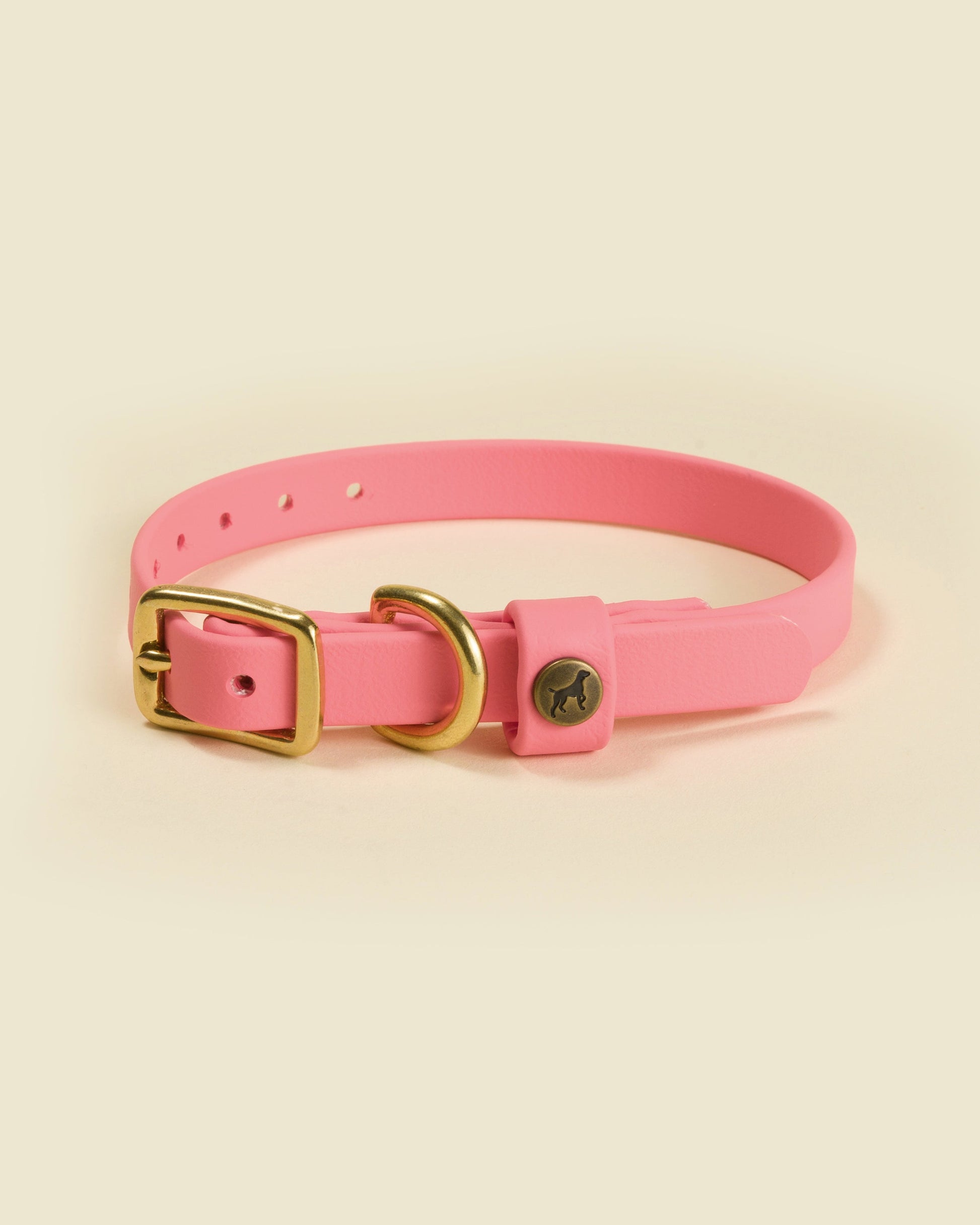 Sporting Puppy Collar - Coral Dog Supplies Pointer Traditions