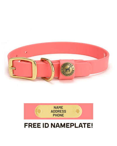 Sporting Dog Collar - Coral Dog Supplies Pointer Traditions