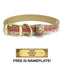 Sporting Dog Collar - Rainbow Trout Dog Supplies Pointer Traditions