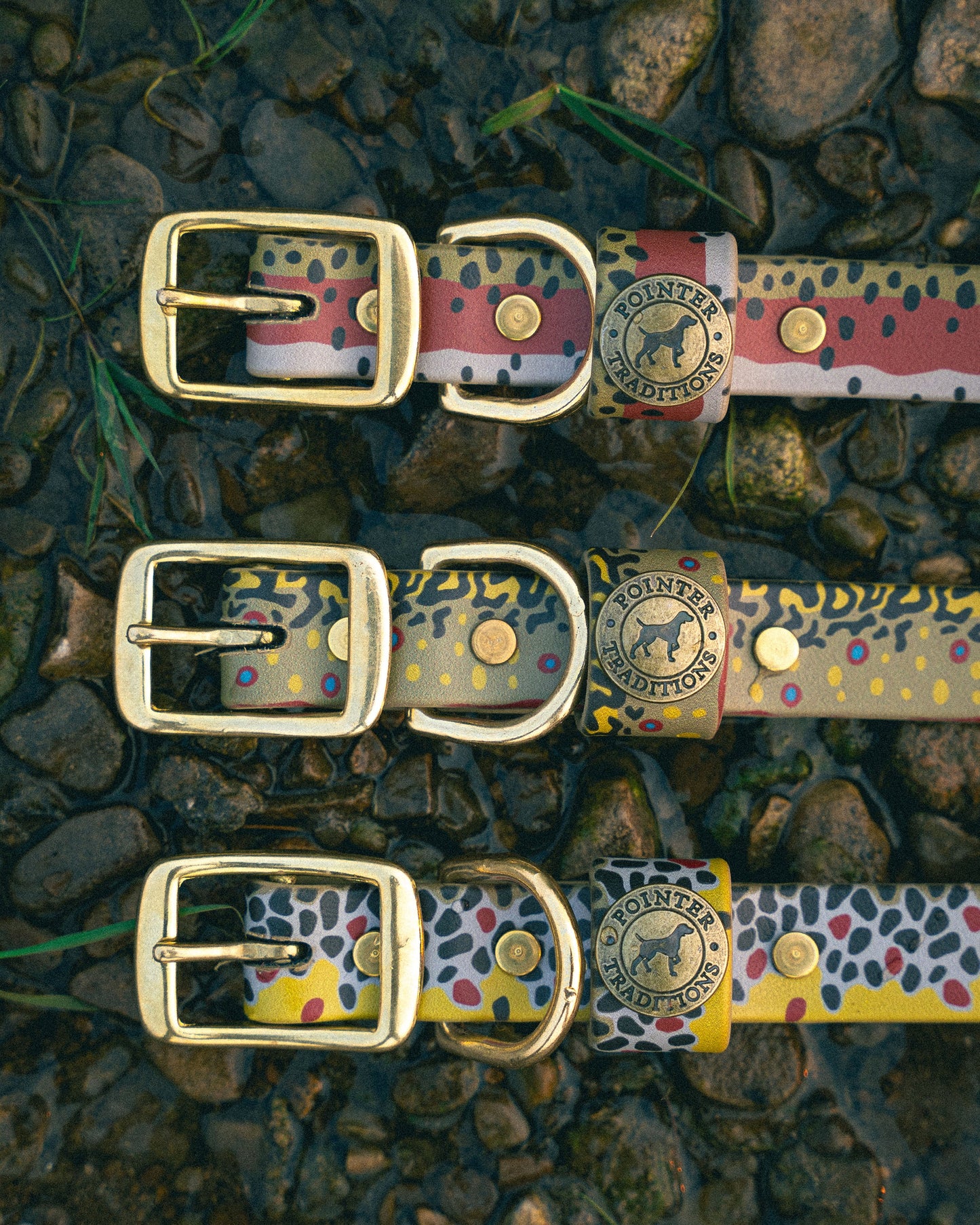Sporting Dog Collar - Brook Trout Dog Supplies Pointer Traditions