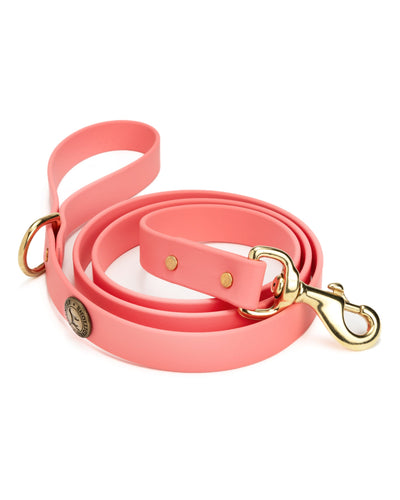 Sporting Dog Leash - Coral Dog Supplies Pointer Traditions
