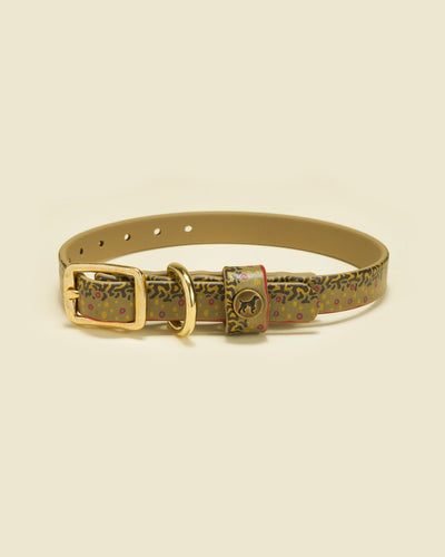 Sporting Puppy Collar - Brook Trout Dog Supplies Pointer Traditions