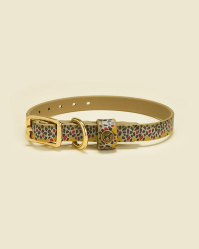 Sporting Puppy Collar - Brown Trout Dog Supplies Pointer Traditions