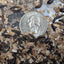 Live Organic Lesser / Buffalo Mealworms Hive Queen Insects