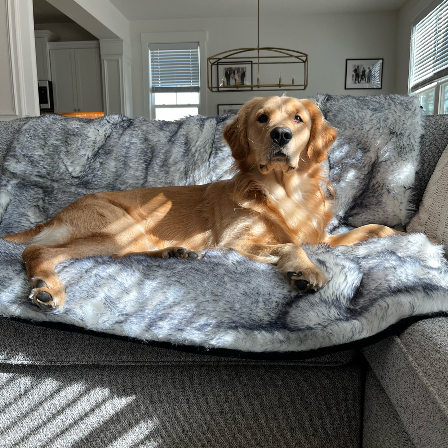 PupProtector™ Luxe Waterproof Faux Fur Blanket - Ultra Plush Arctic Fox Dog Blanket Paw
