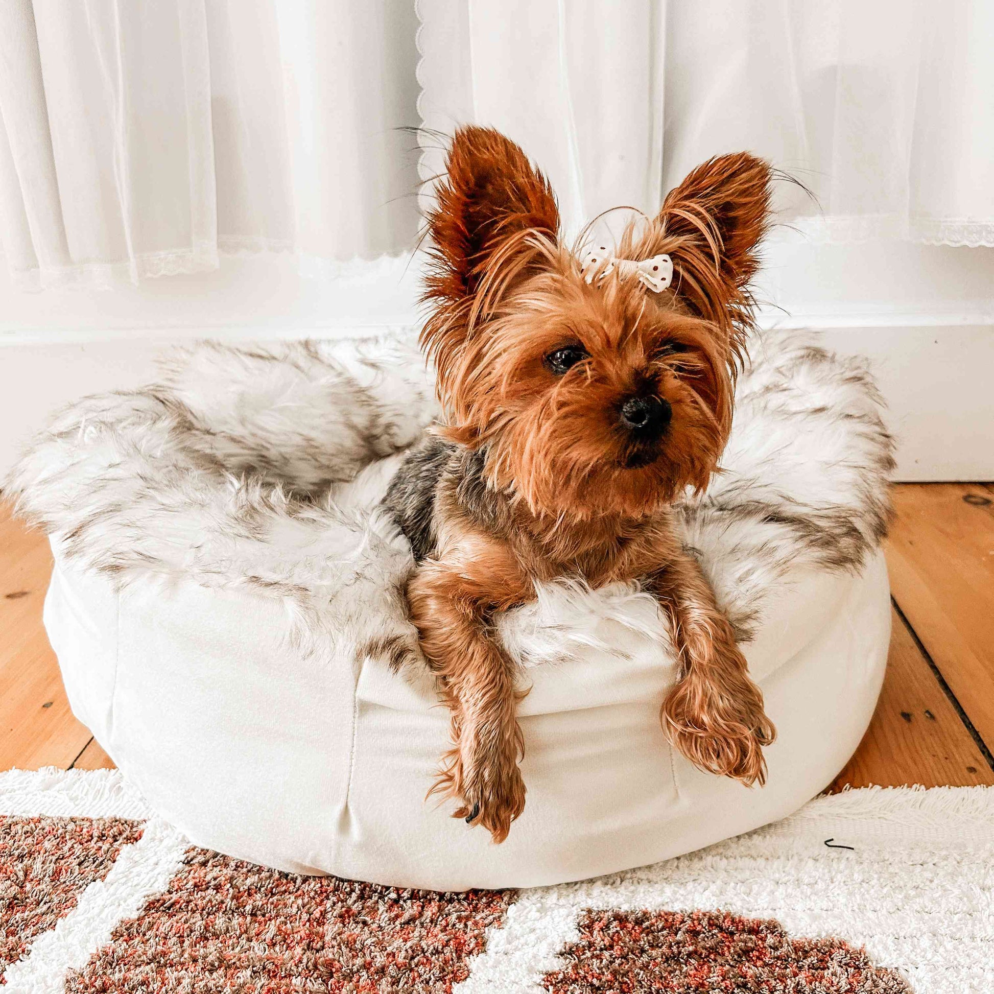 PupPouf™ Faux Fur Donut Dog Bed - White with Brown Accents Dog Beds Paw