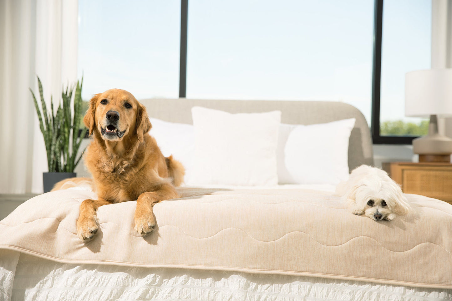 PupChill™ Cooling Waterproof Runner Blanket - Arctic Sand Dog Blanket Paw
