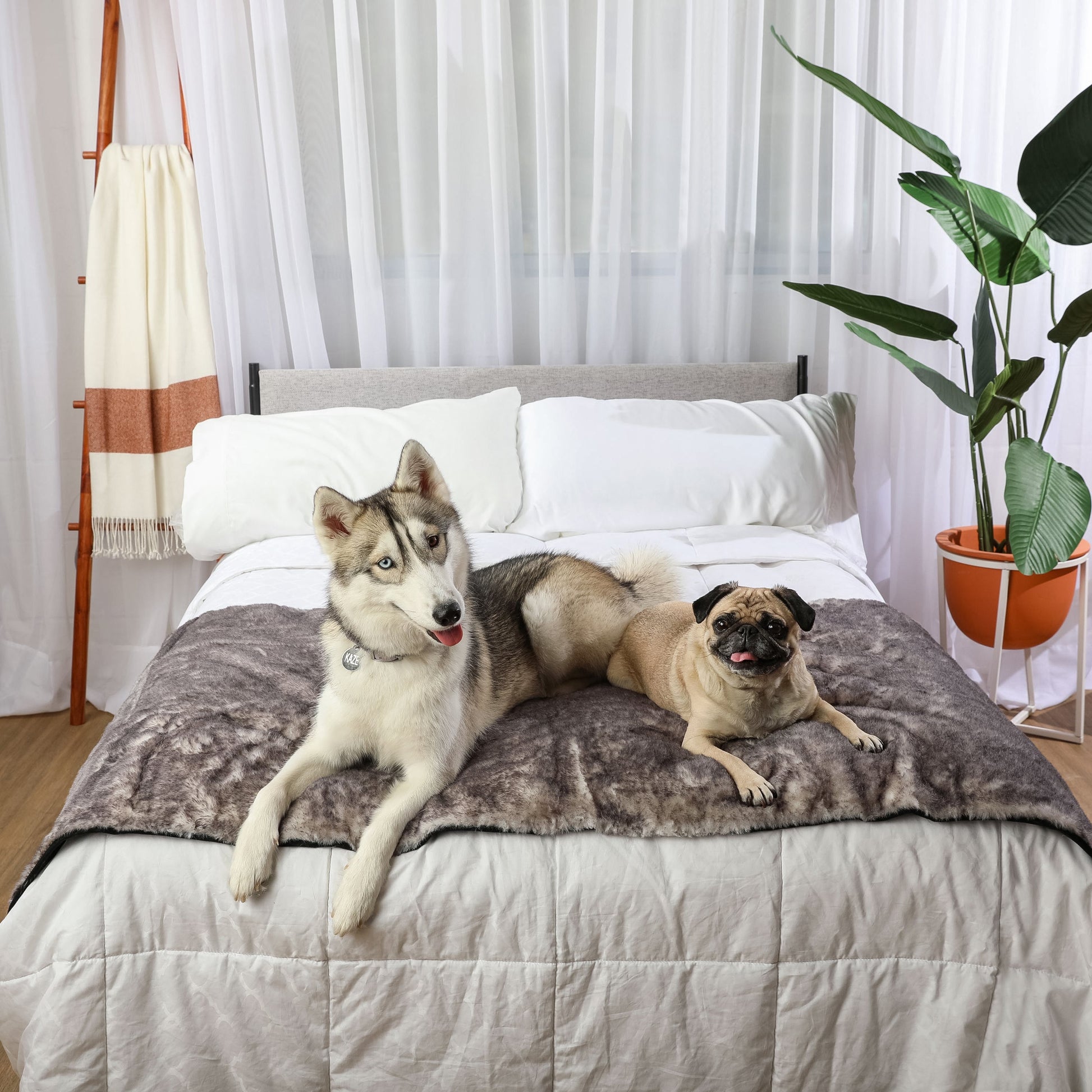 PupProtector™ Luxe Waterproof Bed Runner - Ultra Soft Chinchilla Dog Blanket Paw.com