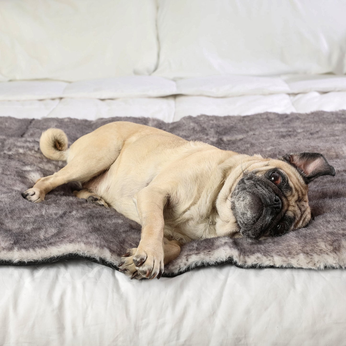 PupProtector™ Luxe Waterproof Bed Runner - Ultra Soft Chinchilla Dog Blanket Paw.com