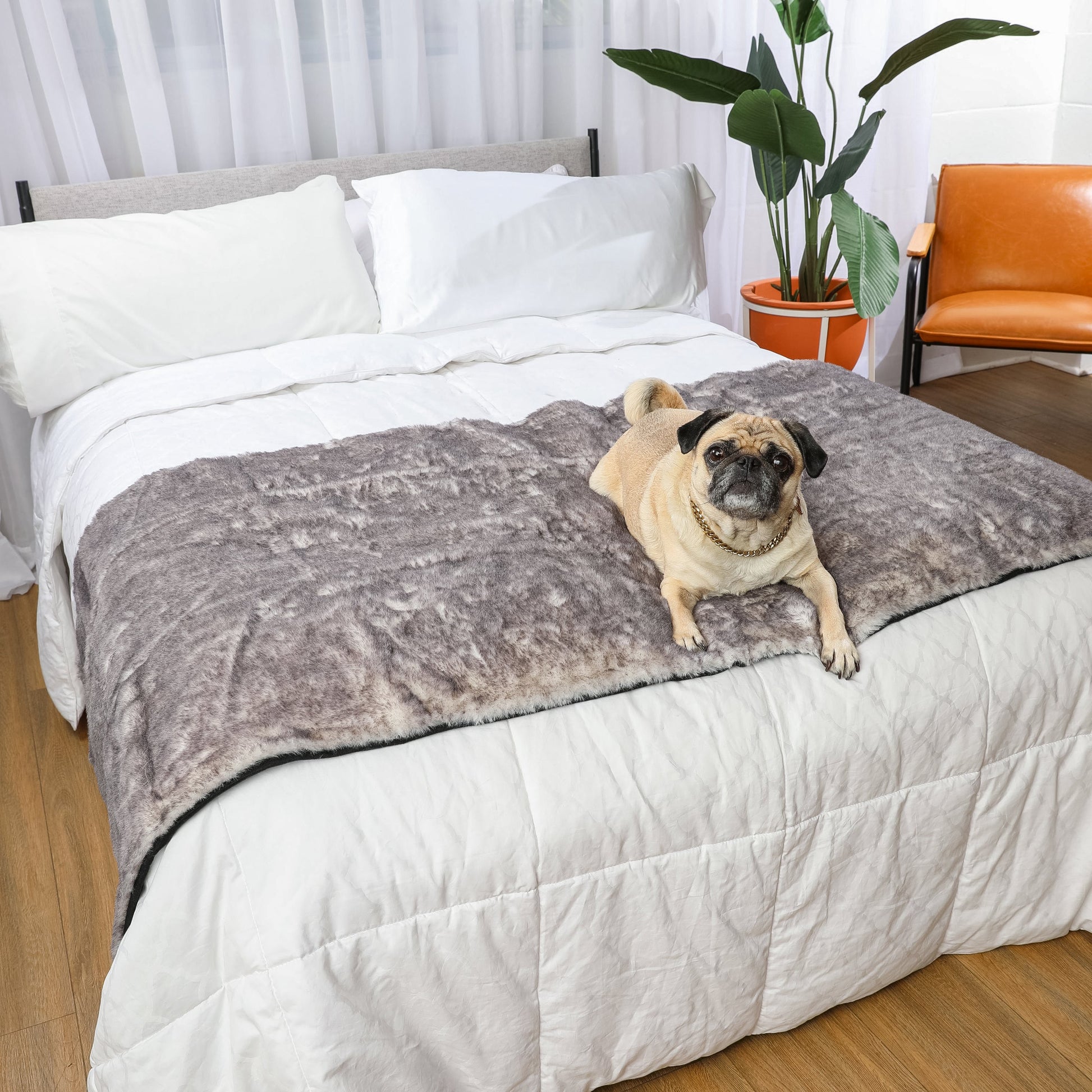 PupProtector™ Luxe Waterproof Bed Runner - Ultra Soft Chinchilla Dog Blanket Paw.com