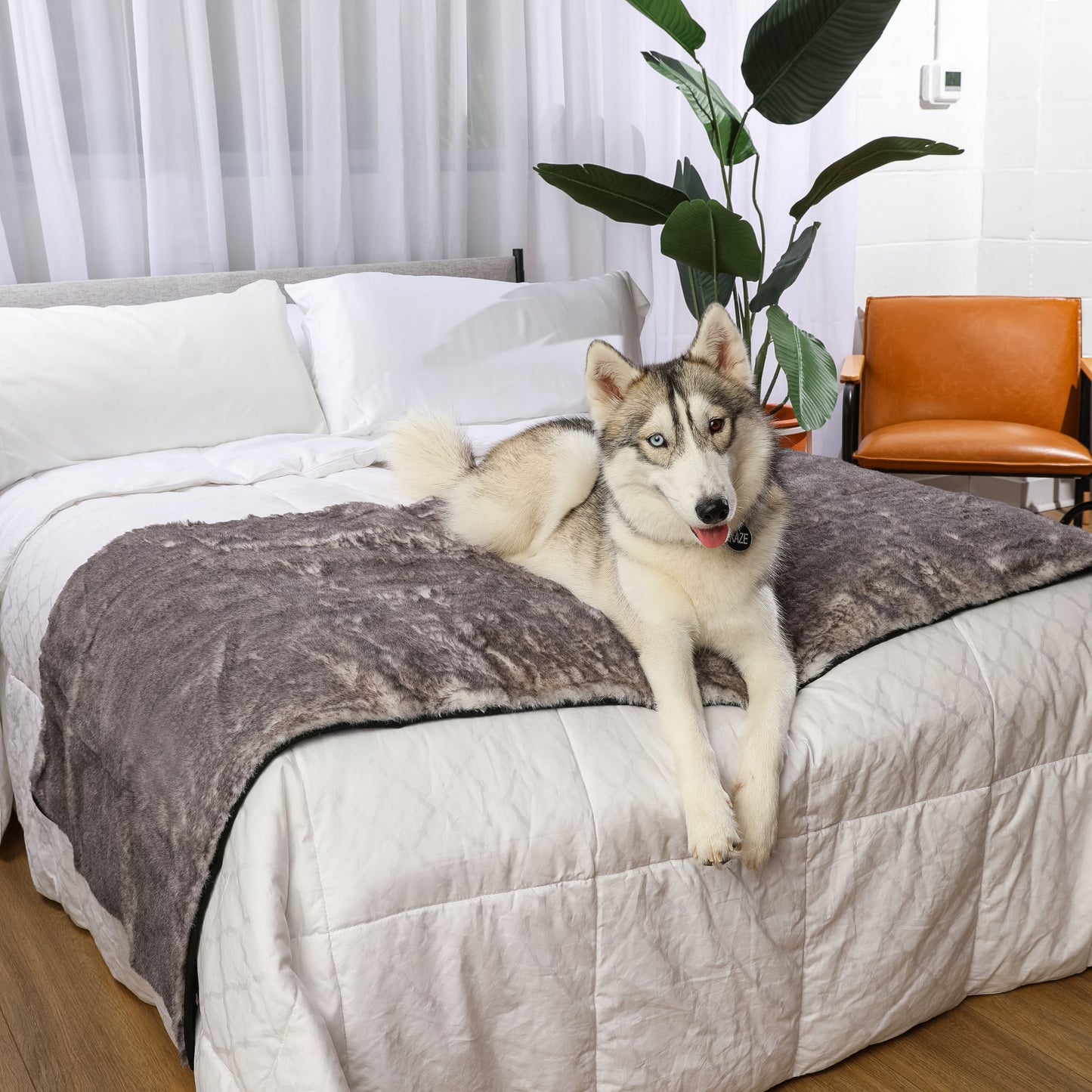 PupProtector™ Luxe Waterproof Bed Runner - Ultra Soft Chinchilla Dog Blanket Paw.com