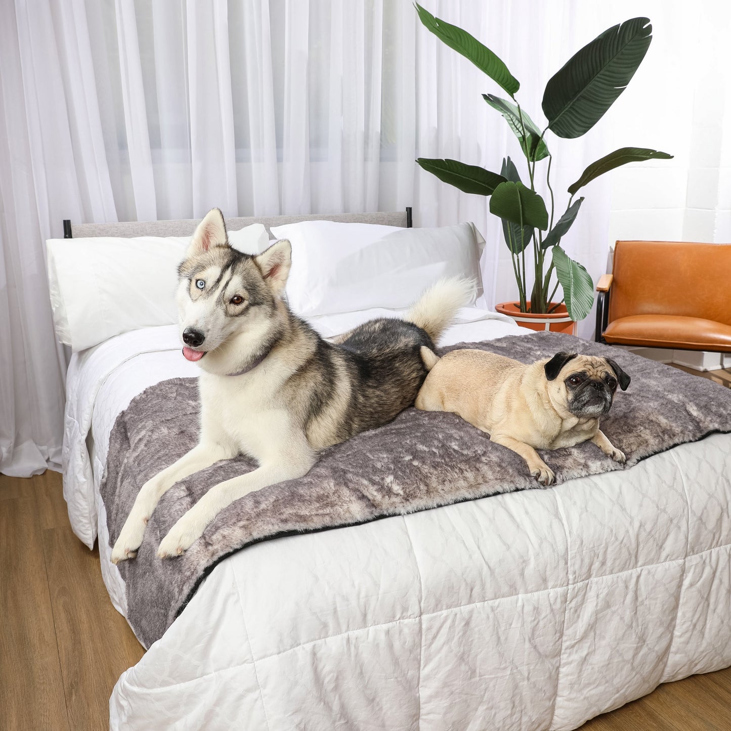 PupProtector™ Luxe Waterproof Bed Runner - Ultra Soft Chinchilla Dog Blanket Paw.com