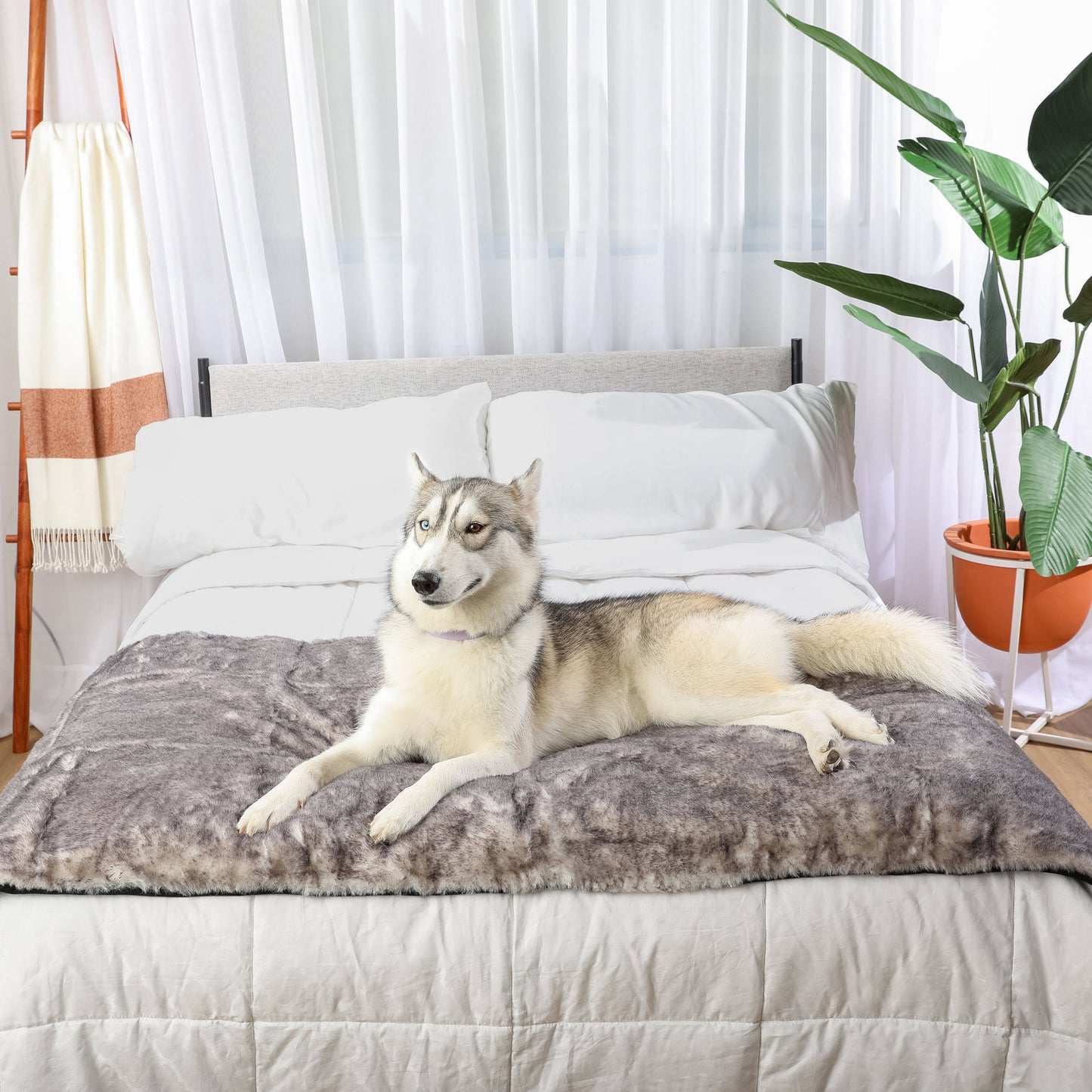 PupProtector™ Luxe Waterproof Bed Runner - Ultra Soft Chinchilla Dog Blanket Paw.com