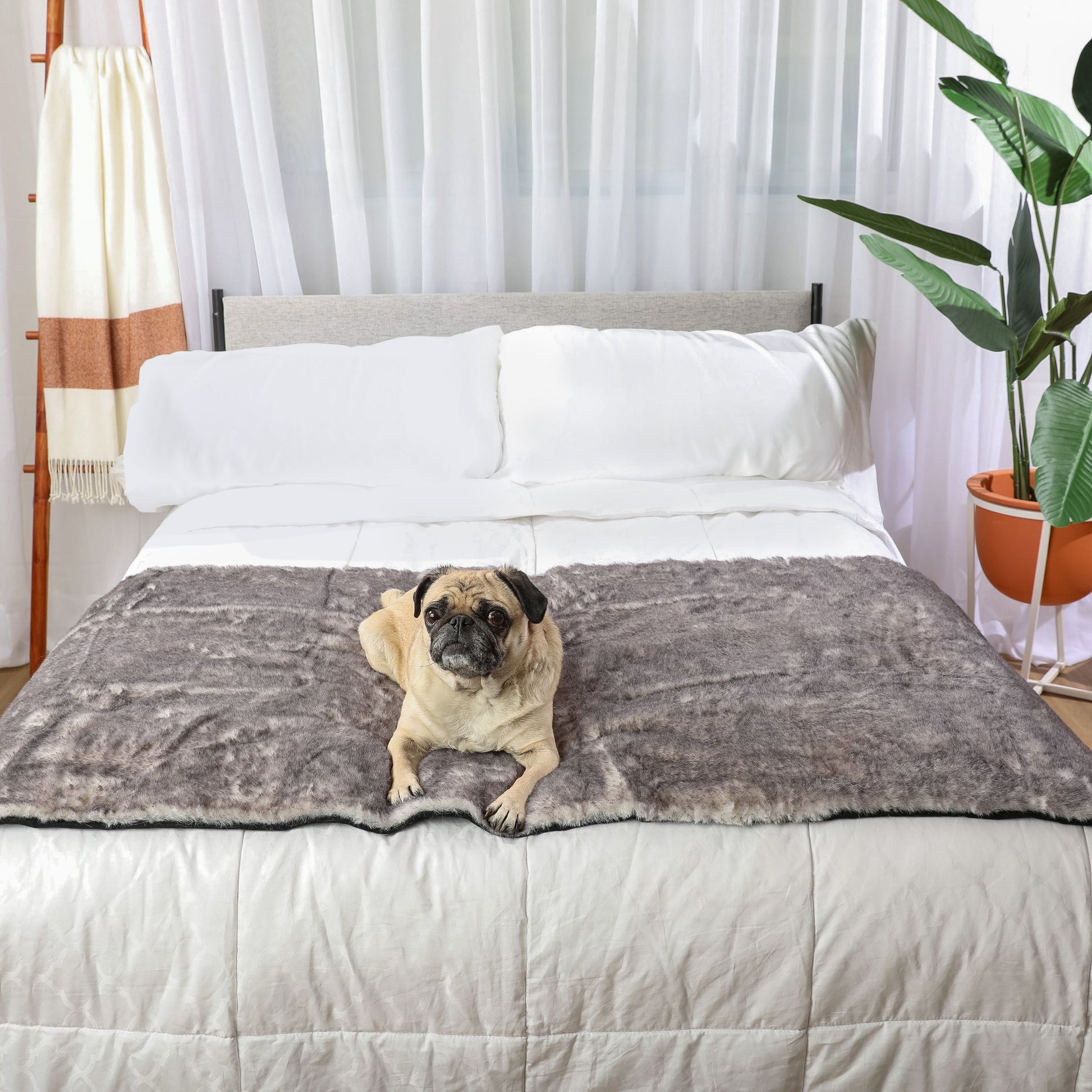PupProtector™ Luxe Waterproof Bed Runner - Ultra Soft Chinchilla Dog Blanket Paw.com