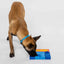 Pawzler Set - Beginner Enrichment Product SwiftPaws