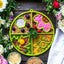 Four Seasons eTray - Shallow Slow Feeder Dog Bowl for Enrichment | USA Made ETRAY SodaPup/True Dogs, LLC