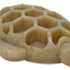 Turtle Nylon Chew Toy - Ultra-Durable Enrichment Toy for Power Chewers USA Nylon Dog Toys SodaPup/True Dogs, LLC