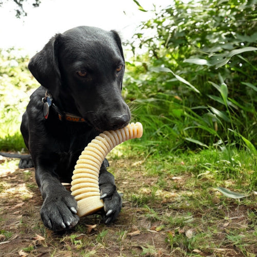 Flufflehorn Dental Antler - Indestructible Nylon Dog Chew Toy XL | USA Made Nylon Dog Toys SodaPup/True Dogs, LLC
