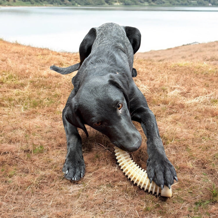 Flufflehorn Dental Antler - Indestructible Nylon Dog Chew Toy XL | USA Made Nylon Dog Toys SodaPup/True Dogs, LLC